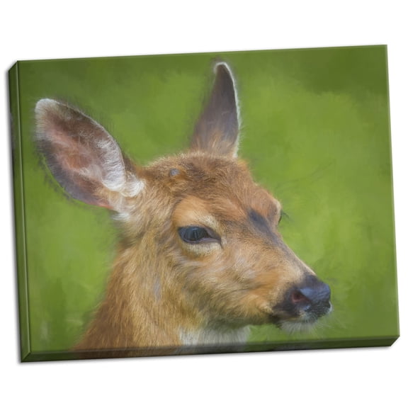Gango Home Decor Contemporary Blacktail Deer I by Kathy Mahan (Ready to Hang); One 28x22in Hand-Stretched Canvas