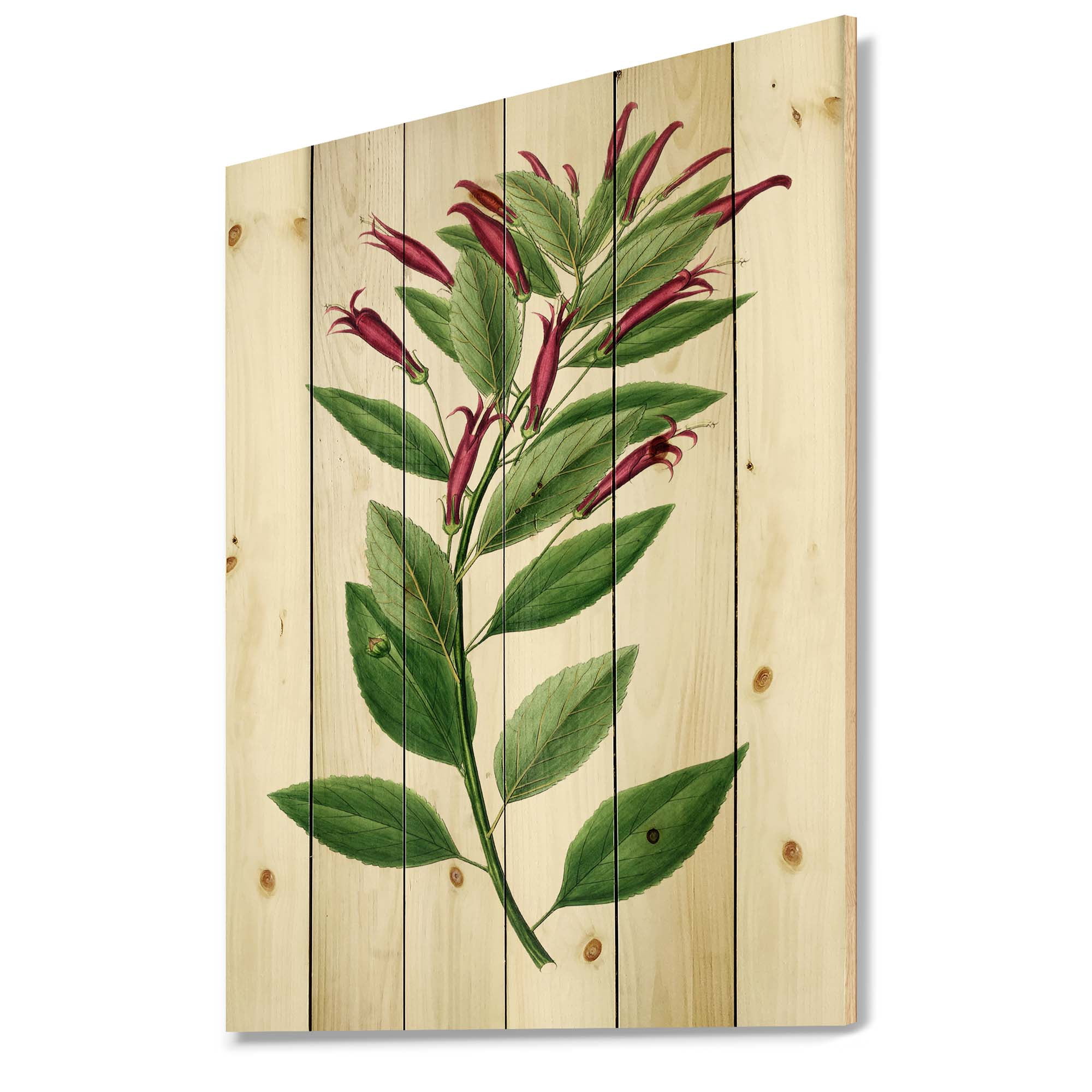 Designart 'Ancient American Flora V' Traditional Print on Natural Pine Wood