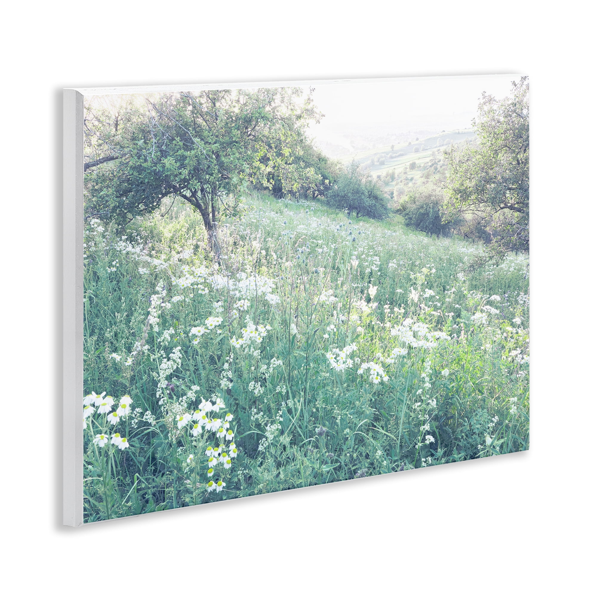 Stupell Industries Sunny Daisies in Meadow Wall Plaque Art, design by Leah Straatsma