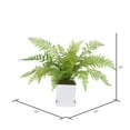 thumbnail image 3 of Vickerman Artificial 17" Green Fern in Matte White Planter., 3 of 4