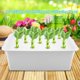 thumbnail image 3 of Caja de macetero con sistema hidropónico, 11 orificios, caja de cultivo hidropónico con orificios para sistema hidropónico, probada y confiable, 3 of 10