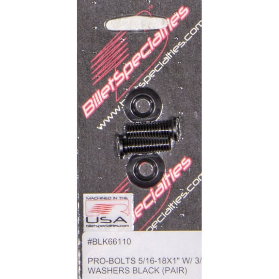 5/16-18 X 1in SS Bolts Black Pair