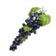 thumbnail image 4 of Uva artificial simulación fruta fotografía instantánea uva falsa boceto práctica utilería, negro sidaley HA8461-04B, 4 of 6