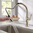 thumbnail image 5 of Delta Faucets Cassidy Single Handle Kitchen Faucet, Polished Nickel |9197-PN-DST, 5 of 5
