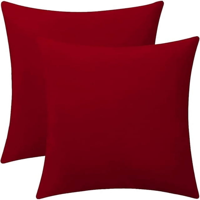 Cterwk - Juego de 2 fundas de cojín decorativas de terciopelo, suaves y cuadradas, para sala de estar, dormitorio y oficina, 50,8 x 50,8 cm