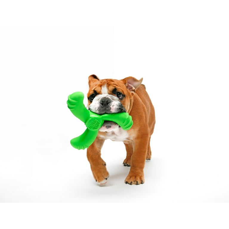 Hartz® Dura Play® Boomerang Dog Toy