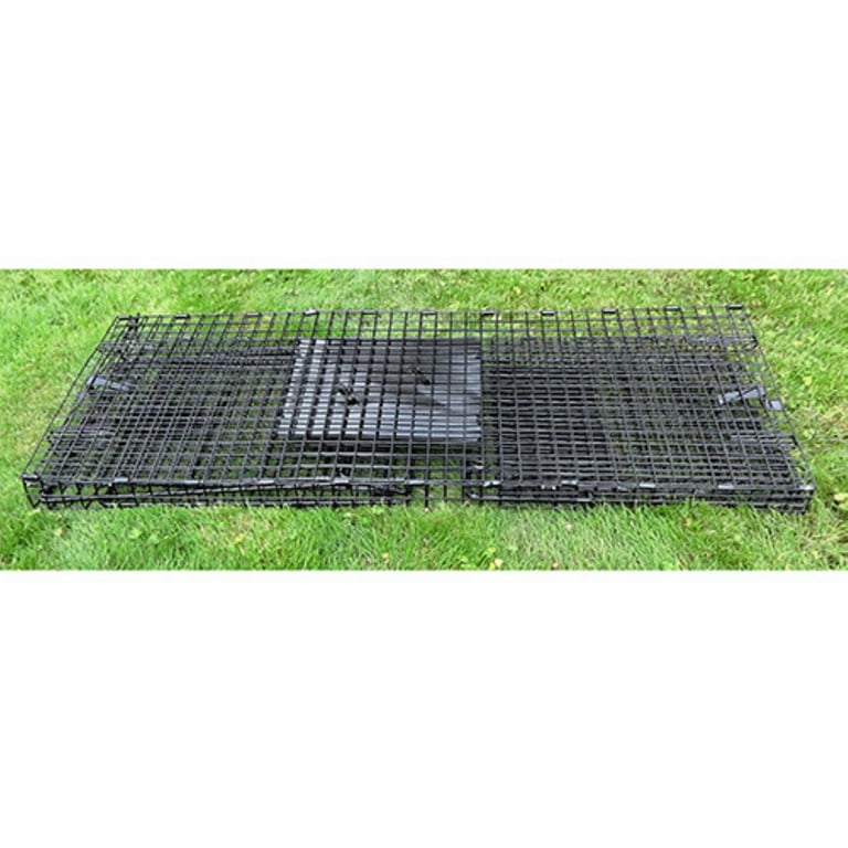 Large Feral Dog Galvanized Metal Live Animal Trap with 1 x 2 Grid – TJB-INC  Online Store