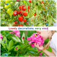 thumbnail image 3 of 600 Pieces Mixed Color Wood Bees and Wood Ladybugs Self-Adhesive Embellishments Tiny Painted Bee and Ladybugs Flatback Stickers for DIY Craft Party Decoration, 3 of 7