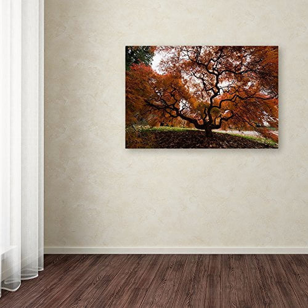 Trademark Fine Art "Autumn Japanese Maple Tree" Canvas Art by Kurt Shaffer