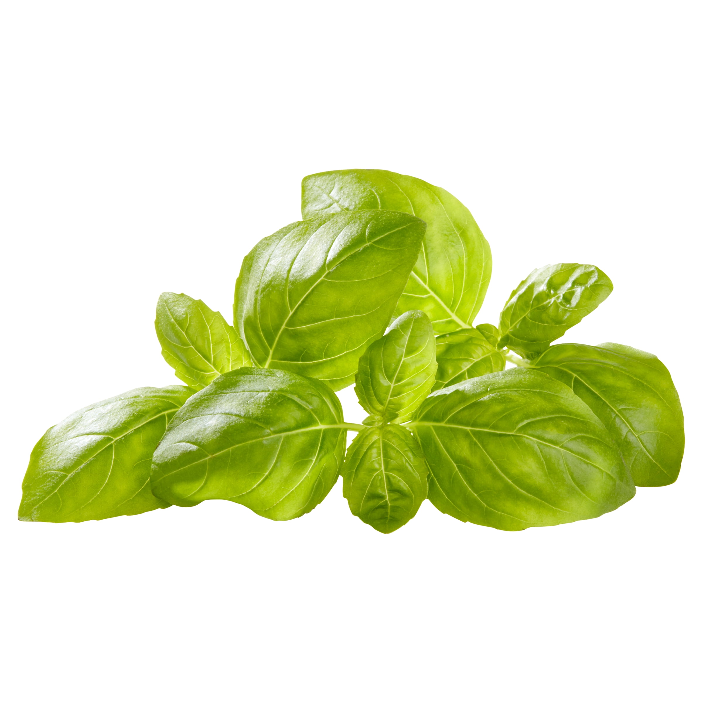 Fresh Basil, 1.5 oz Clamshell