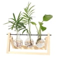 thumbnail image 1 of Feltree Rotating Plant Terrarium Set with Natural Wood Base & 3 Thick Glass Bulbs - Modern Hydroponics System for Indoor Herb Garden Display, 1 of 8