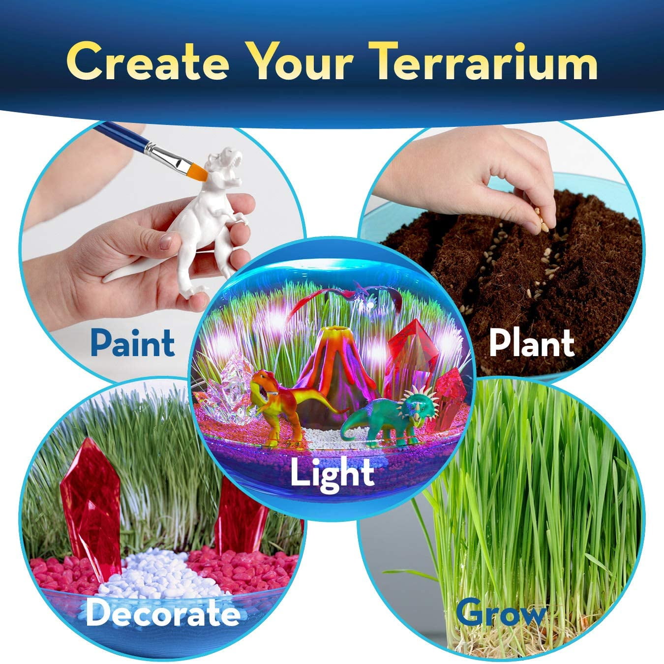 半額SALE☆ terrarium materialsサクラ40粒 植物/観葉植物 - www