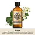 thumbnail image 3 of AKARZ Myrtle Essential Oils 3.38 fl.oz./100ml Pure And Naturel Aromatherapy Face Body Skin Care Massage Aroma Perfume Oil, 3 of 7