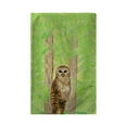 thumbnail image 1 of Betsy Drake BT240 Serviette de Plage Hibou 30 x 50 Po, 1 of 1