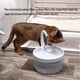 thumbnail image 4 of Dispensador Automático De Agua Para Perros Y Gatos Con Cuello De Cisne Para Mascotas Advancent PT002418-02, 4 of 6
