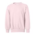 thumbnail image 1 of Hanes Rosa palido S P360, 1 of 1
