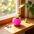 thumbnail image 5 of Mini Flower Pot, Small Round Plastic Planter Ribbed Nursery Pot Decorative Succulent Container, Cactus Herb Bonsai Desktop Planter for Home Office Windowsill Garden Decoration, 5 of 7