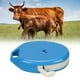 thumbnail image 4 of Cortador De Tubos De Semen De Ganado, Cortador De Tubos De Semen De Ganado Congelado Preciso De Acero Inoxidable, Cizalla Biselada Para Ganado, 4 of 8