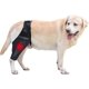 thumbnail image 1 of Rodillera para perros, soporte para pierna y cadera para lesiones del ligamento cruzado, luxación de rótula u osteoartritis_fs s202412243083, 1 of 5
