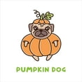 thumbnail image 3 of Ambesonne Halloween Duvet Cover Sets, Funny Pumpkin Dog Pug, 2-Twin, Apricot Green and White, 3 of 4
