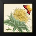 thumbnail image 2 of van Houtte, Louis 12x12 Black Modern Framed Museum Art Print Titled - Star Thistle, 2 of 5