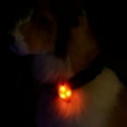 thumbnail image 4 of Pet LED Pendant Safety Flashing Glow Light Blinking LED Collar Pendant Necklace for Pet Dog Puppy, 4 of 6