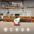 thumbnail image 4 of Floradix Iron + Herbs - Iron Supplement for Healthy Energy Support* - Supports Red Blood Cell Formation - Vegan, Non-GMO, Gluten-Free, Soy-Free - 60 Liquid Phyto-Caps, 4 of 9