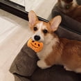 thumbnail image 4 of Halloween Pumpkin Squeaky Plush Dog Chew Toy, Soft Stuffed Teething Plaything, Lightweight Interactive Fetch Toy for Small Medium Large Puppies Cats Boredom Relief Halloween Party Supplies, 4 of 6