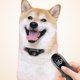 thumbnail image 1 of Collar de perro antiladridos de 27 pulgadas, 3 modos, Clip antirotura para perros pequeños, medianos y grandes Sywqhk Libre de BPA, 1 of 6