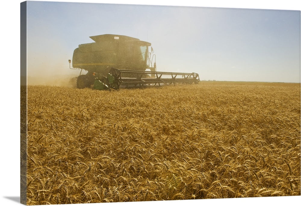Great BIG Canvas "A Combine Harvester Works A Field Of Winter Wheat