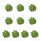 thumbnail image 1 of Mini suculentas Toystoory 10 piezas decorativas PVC, 1 of 6