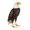 Standing, variant on Regal Art & Gift Eagle Decor - Standing Metal 18" Bird Statue