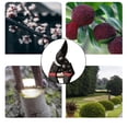 thumbnail image 3 of Sécateurs Manuels Multifonctionnels pour Jardinage Domestique, 3 of 5