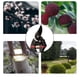 thumbnail image 3 of Podadoras de derivación manuales Tijeras de jardinería domésticas multifuncionales Tijeras de ramas, 3 of 5