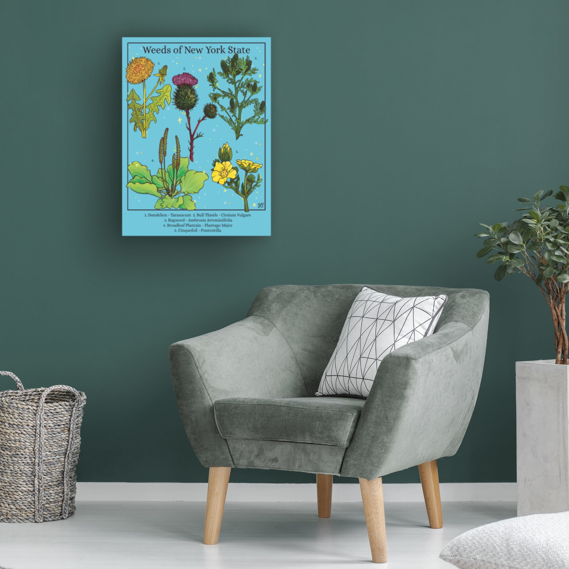 Canvas Wall Art - Rachel Feirman 'Weeds of New York State' Wall Art for Living Room, Bedroom, or Office Décor by Trademark Fine Art - 18 x 24 Inches