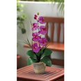thumbnail image 2 of Nearly Natural 1016-OR Orchidée en Soie Phalaenopsis à Tige Unique, 2 of 2