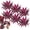 6pcs, variant on Artificial Cordyline Red Plant – No-Fuss Year-Round Vibrant Foliage, Large Realistic Artificial Boston Fern & Dragon's Blood Tree, UV Resistant Fake Ferns for Outdoor, Garden, Patio, Wedding, Balcony