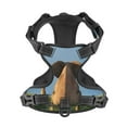 thumbnail image 4 of Lsque Elephant Dog Dog Harness, No-Pull Pet Harness with 2 Leash Clips, Adjustable Soft Padded Dog Vest with Easy Control Handle for Large Dogs-Small, 4 of 9