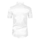 thumbnail image 3 of pstuiky camisetas de hombre, Camiseta de verano fina de manga corta con cuello redondo, holgada, de color liso, informal, de manga corta y cuello redondo para hombre ropa de hombre s, 3 of 3