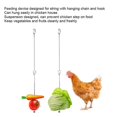 thumbnail image 4 of 2PCS Pet Chicken Stainless Steel Fruit Vegetable Corn Fork Cock Foraging Food Tool, 4 of 4