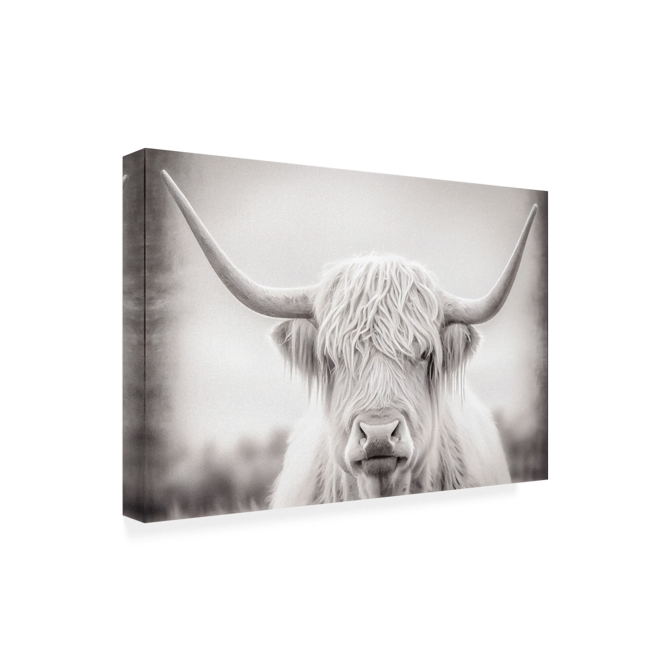 Canvas Wall Art - Sasha 'Heathcliff' Wall Art for Living Room, Bedroom, or Office Décor by Trademark Fine Art - 47 x 30 Inches
