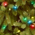 thumbnail image 2 of National Tree Company 4.5 ft. Jersey Fraser Fir Tree with Multicolor Lights, 2 of 3