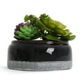 thumbnail image 3 of Bornbridge Artificial Succulent Plants in Planter -  Mini Succulent Plants - Madera, 3 of 7