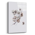 thumbnail image 2 of Epic Art 'Cotton III' by Incado, Acrylic Glass Wall Art, 16"x24", 2 of 8