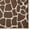 Coffee, variant on Addison Rugs Addison Safari Giraffe Animal Print Area Rug 1' 8" x 2' 6" - Coffee - Runner/Rectangle