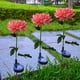 thumbnail image 4 of Luces solares para exteriores, luces solares de crisantemo, luces LED para jardín, luces de simulación de flores, luces decorativas con enchufe para tierra, luz solar, 4 of 5