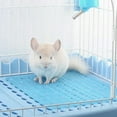 thumbnail image 3 of Flmtop Small Animal Rabbit Feet Mat Pet Hamster Grids Anti-slip Cage Nest Pad Blanket Blue, 3 of 8