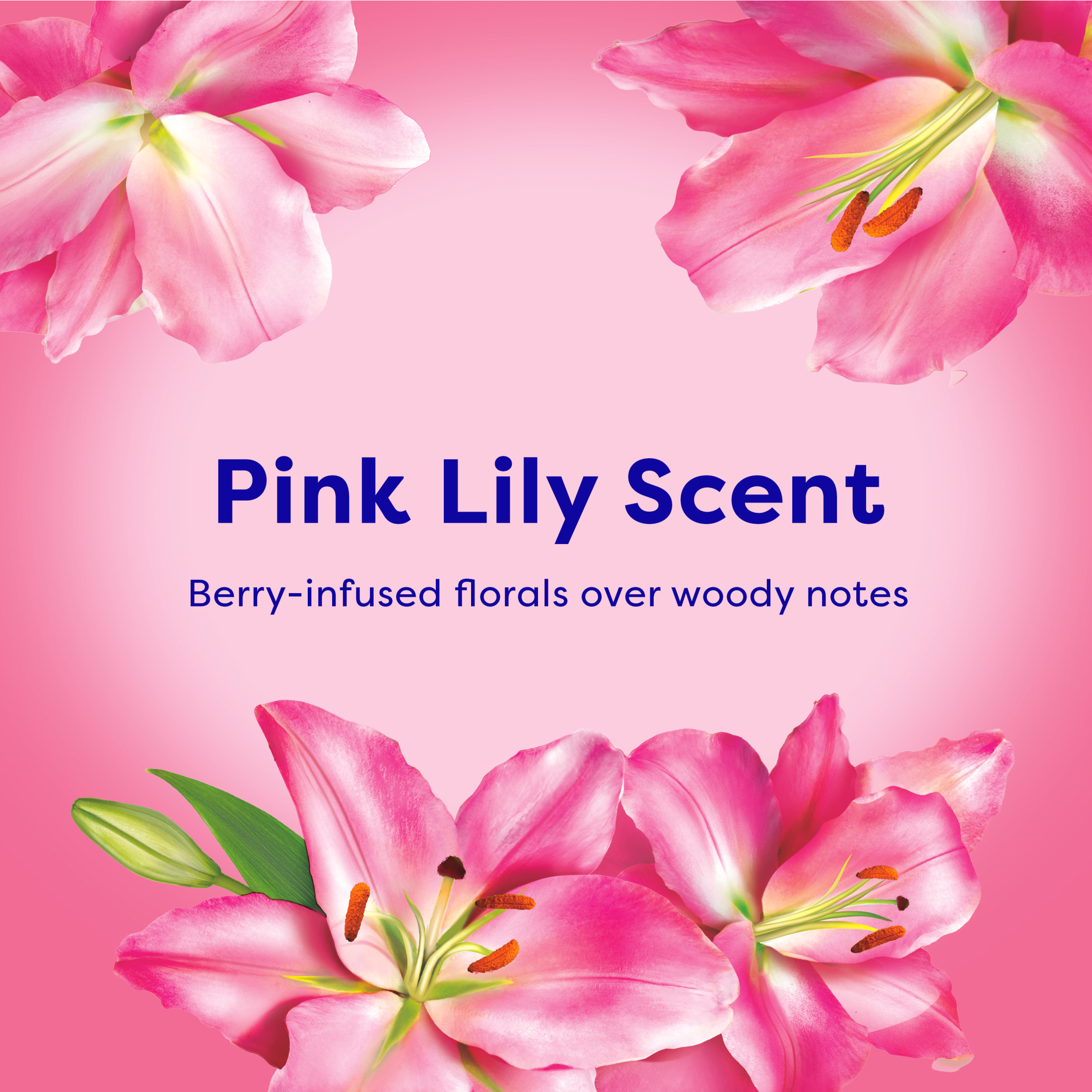 Suavitel Concentrated Fabric Softener, Pink Lily, 105 fl oz photo 4