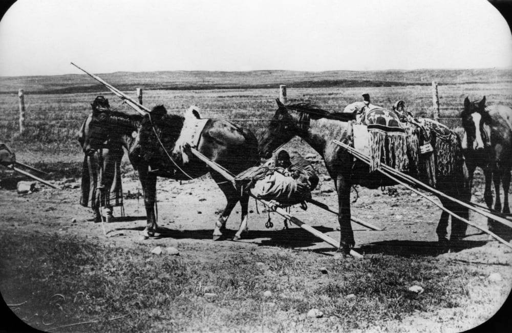 Blackfoot Travois C1900 Na Blackfoot Native American Woman (Left) And