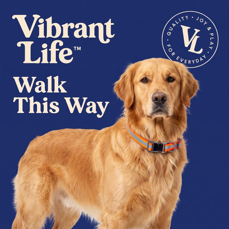 Vibrant Life Nylon Reflective Adjustable Dog Collar, Orange photo 2
